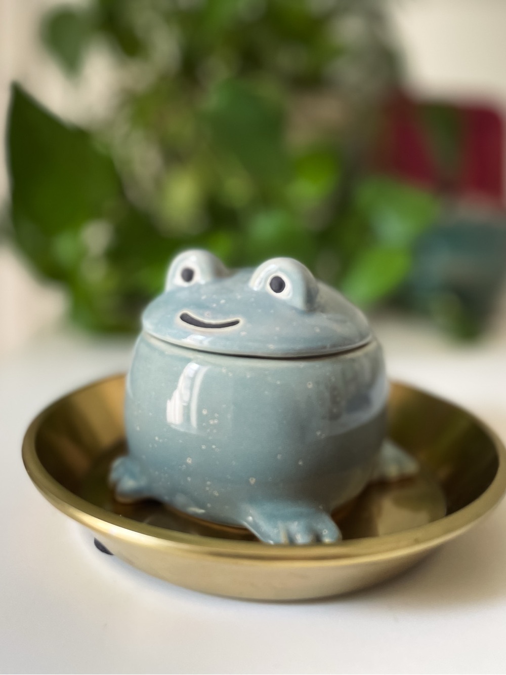 Trinket Jar - Adorable Green-Grey Ceramic Frog Keepsake Jar - Picture 3 of 8